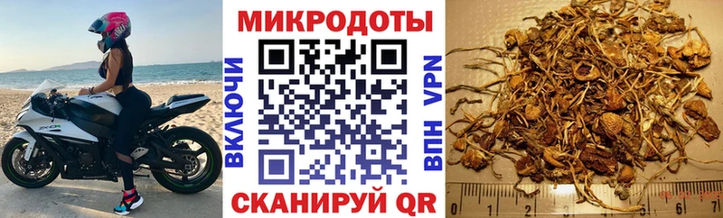 Галлюциногенные грибы Psilocybe  даркнет сайт  Назрань 