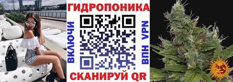 Каннабис AK-47  где купить наркоту  kraken ССЫЛКА  Назрань 